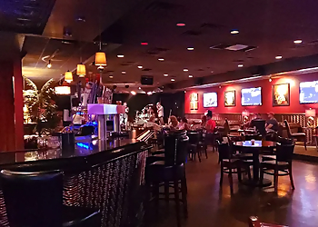 Sterling Heights Night Clubs Stray Cat Lounge