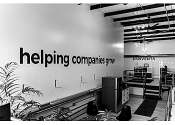 Glendale Advertising Agencies Striventa