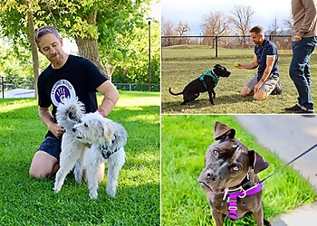 Boulder Dog Training Strong Bond Dog Training