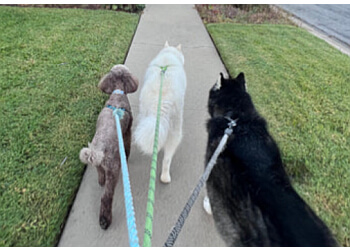 Strong Paws Pet Services Anaheim Dog Walkers