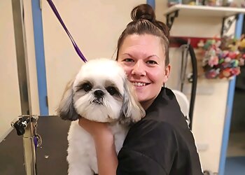 Colorado Springs Pet Grooming Stubby's Dog Wash and Grooming Salon