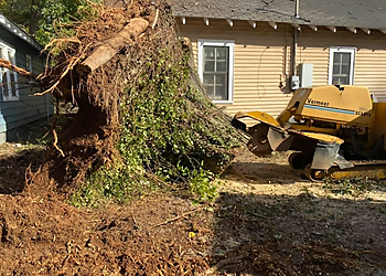 Murfreesboro Tree Services Stump Eater