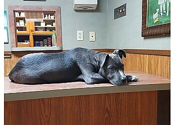 Gainesville Veterinary Clinics Suburban Animal Hospital