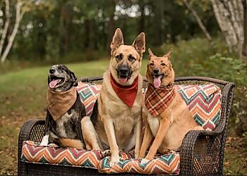 Milwaukee Dog Training Suburban K9