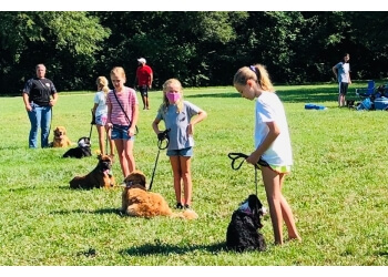 suburban k9 dog training cost