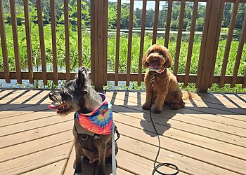 Las Vegas Dog Training Suburban K9 Dog Training