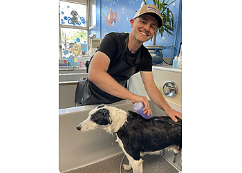 Eugene Pet Grooming Suds 'Em Yourself