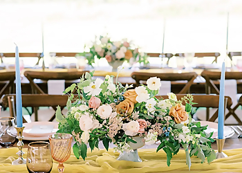 Sugar Willow Events - Lakewood, CO Event Management Companies - Venue Decoration Image