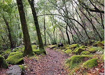 Santa Rosa Hiking Trails Sugarloaf Ridge State Park