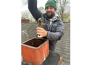 Alexandria Animal Removal Summit Wildlife Removal