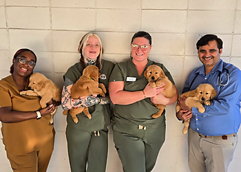 Sun Valley Pet Hospital - Concord, CA Veterinary Clinics - Doctor With Patient Image