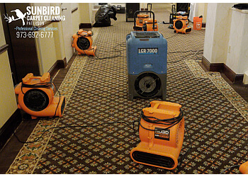 Paterson Carpet Cleaners Sunbird Carpet Cleaning Paterson