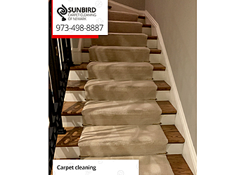Newark Carpet Cleaners Sunbird Carpet Cleaning of Newark