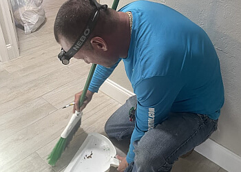 St Petersburg Pest Control Companies Suncoast Pest Control