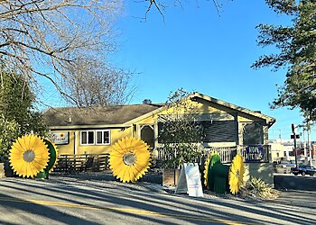 Nashville Vegetarian Restaurants Sunflower Cafe