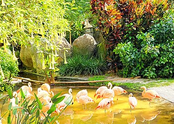 St Petersburg Places To See Sunken Gardens