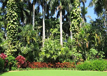 St Petersburg Places To See Sunken Gardens