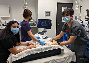 Fullerton Veterinary Clinics Sunnycrest Animal Care Center