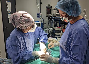 Fullerton Veterinary Clinics Sunnycrest Animal Care Center