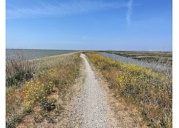 Sunnyvale Hiking Trails Sunnyvale Bay Trail