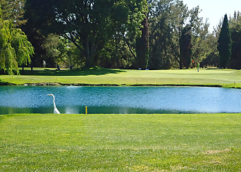 Sunnyvale Golf  Sunnyvale Golf Courses image 1