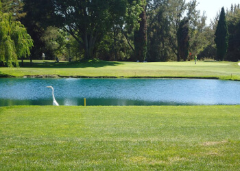 Sunnyvale Golf Course
