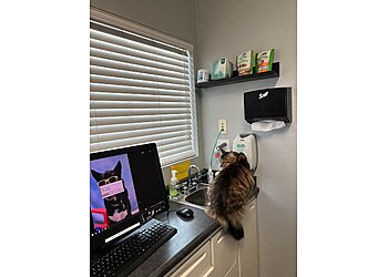 Sunnyvale Veterinary Clinics Sunnyvale Veterinary Clinic