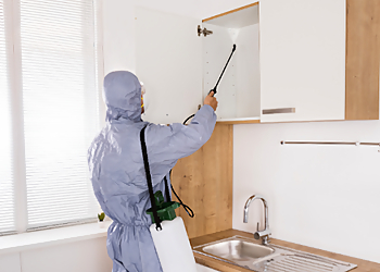 Bellevue Lawn Care Services Sunrise Pest & Turf Management