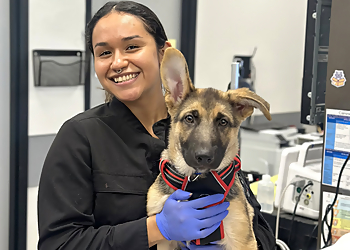 Sunset Animal Hospital - Houston, TX Veterinary Clinics - Staff Image