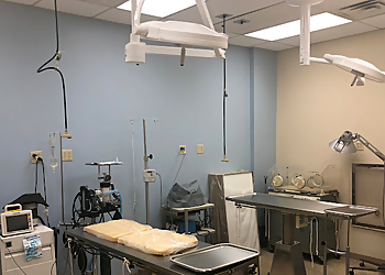 Sunshine Animal Hospital - Tampa, FL Veterinary Clinics - Clinic Interior Image