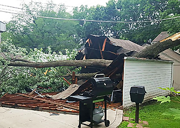 Overland Park Tree Services Sunshine Tree Service