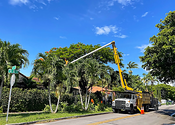 Miami Tree Services Sunshine Tree Trimming