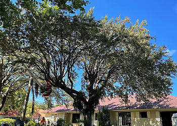 Miami Tree Services Sunshine Tree Trimming