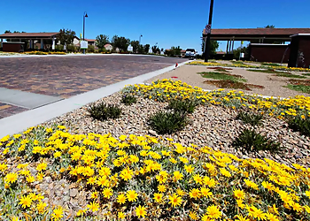 North Las Vegas Landscaping Companies Sunstate Companies