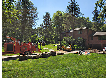 Sunworks Tree Services - Omaha, NE Tree Services - Team Working Image