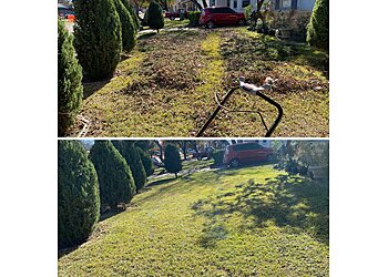 Arlington Lawn Care Services Super Green J&D LLC