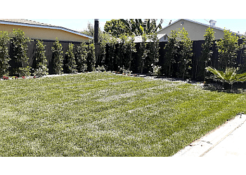 Supergreen Landscape Los Angeles Lawn Care Services