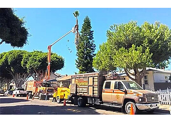 Supreme Tree Experts Huntington Beach Tree Services