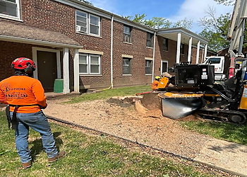 Elizabeth Tree Services Supreme Tree Solutions