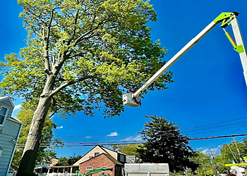 Supreme Tree Solutions Elizabeth Tree Services image 1