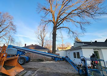 Lexington Tree Services Sure Notch Tree Service