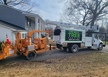 Sure Notch Tree Service Lexington Tree Services image 1