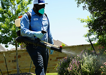 Dallas Pest Control Companies Sureguard Lawn & Pest