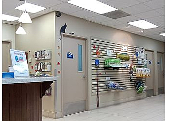 Oceanside Veterinary Clinics Surfside Animal Hospital