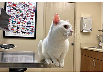 Oceanside Veterinary Clinics Surfside Animal Hospital