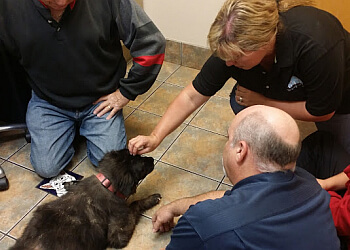 Lovet Pet Health Care Surprise - Surprise, AZ Veterinary Clinics - Medical Procedure Image