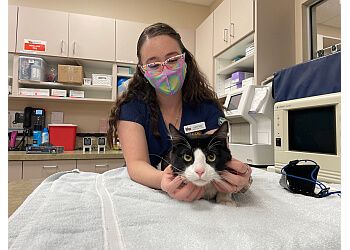 Lovet Pet Health Care Surprise - Surprise, AZ Veterinary Clinics - Service Highlights