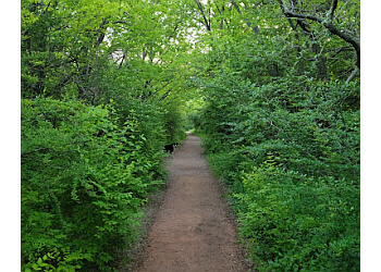 Sutton Wilderness Trail Park