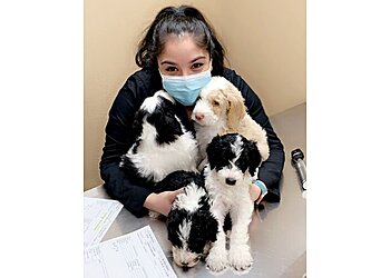 Oklahoma City Veterinary Clinics Swaim Serum Co