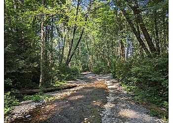 Tacoma Hiking Trails Swan Creek Park